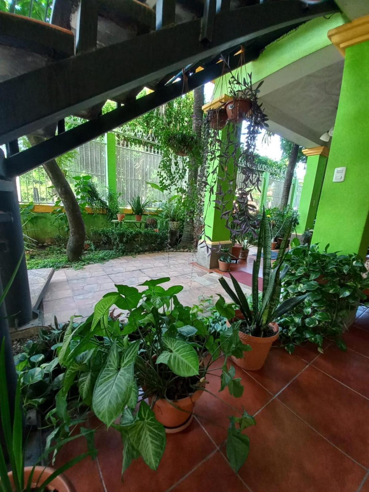 Hostal San Antonio Leon Bagian luar foto