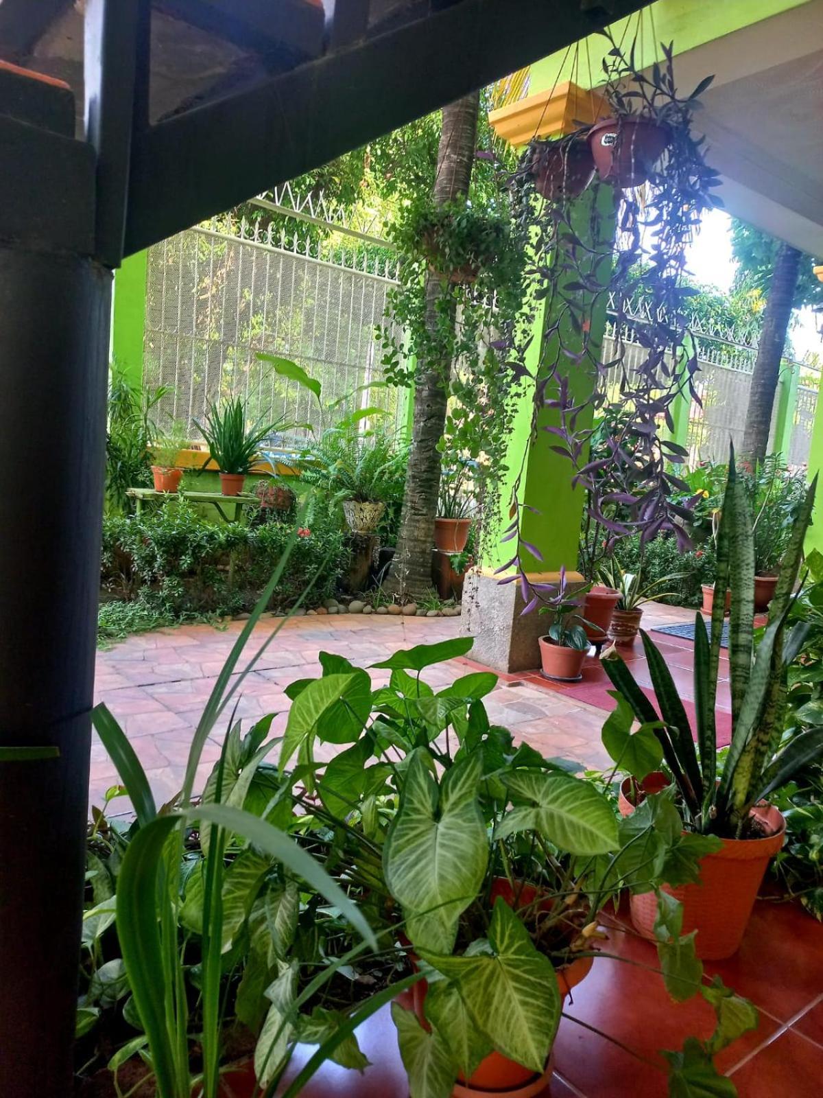 Hostal San Antonio Leon Bagian luar foto